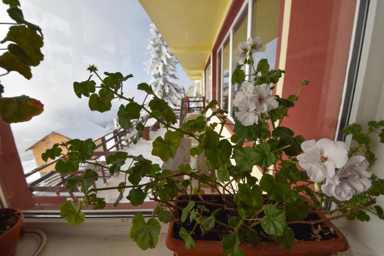 Vila Parang Petroşani Extérieur photo
